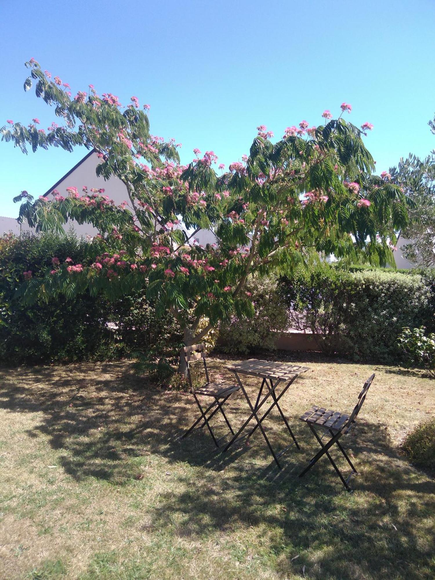 Chambre Agreable Au Calme Saint-Hilaire-Petitville エクステリア 写真